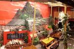 Ecopackers - Image 9