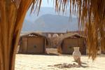 Al Tarek Camp
