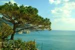 Photos of Corniglia Dream Rooms