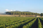 Agriturismo Valle Benuara - Image 10