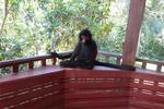 Tarantula Eco-Hostel - Image 2