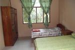 Tarantula Eco-Hostel - Image 3