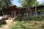 Tarantula Eco-Hostel - Image 7