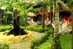 Arenal Hostel Resort - Image 3