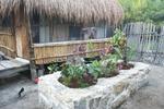 Photos of Xbalamque Cabañas Tulum