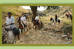 Krishna Ranch - Image 4
