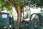 Kundasale Holiday Homes - Image 2