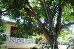 Kundasale Holiday Homes - Image 9