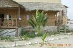 Hostal Baloo - Image 2