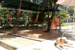 The Pit Stop Hostel - Image 9