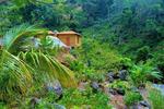 Blue Mountain Cottages - Rafjams Bed and Breakfast - Image 4