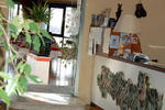 Photos of Hotel Villa Regina