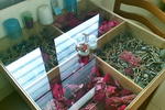 Erika's Home - Image 6
