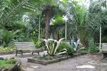 Guesthouse in Batumi - Image 5