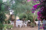 B&B La Casa Di Rose - Image 7