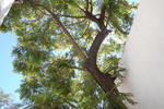 Babilonia Hostel - Image 8