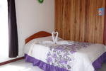Sloth Backpackers - Image 7