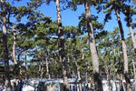 Camping Planik - Image 10