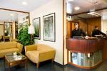 Photos of Medium Abalon