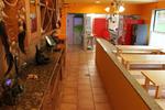 Albergue Acuario - Image 5