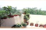Chhoti Haveli - Image 4