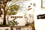 Photos of Casal da Eira Branca Óbidos