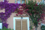 Albergo Conca d'Oro - Image 7