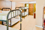 Bamboo - Image 7