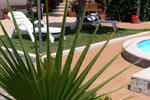 B&B Domitilla - Image 3