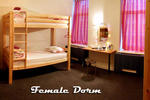 Cinnamon Sally Backpackers Hostel - Image 6