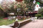 Roots and Boots Hostel - Image 10