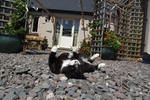 Driftwood Country Hostel - Image 5