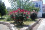 Photos of Panselinos Hotel & Apartments