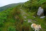 Inveraray Farm Guest House - Image 2