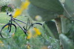 B&B L'Albero Di Antonia - Image 4