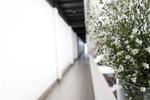 Rucksack Hostel - Image 6