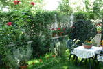B&B IL Tulipano