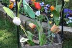 B&B IL Tulipano - Image 9