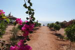 Negma Bedouia Beach Vacation Park - Image 6