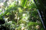 Photos of El Momo Cottages