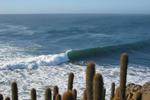 Surf Eat Sleep - Image 7