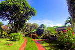 Hotel La Rosa de America