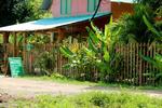 Las Mariposas - Image 1