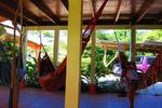 Las Mariposas - Image 3