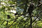 Rio Nature Hostel - Image 5