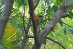Rio Nature Hostel - Image 6