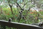 Rio Nature Hostel - Image 10