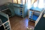 Society Backpackers Hotel - Image 3