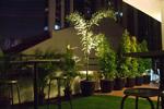 Society Backpackers Hotel - Image 5