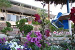 Arava Hostel - Image 2